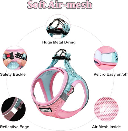 Mercano Soft Mesh Dog Harness and Leash Set, No-Chock Step-in Reflective Breathable Lightweight Easy Walk Vest Harnesses with Safety Buckle for Small Dogs, Cats (XS, Pink Blue)