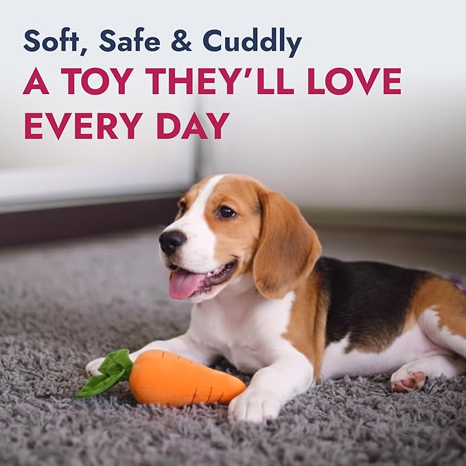 Pet Lou 8 Inch Carrot Plush Dog Toy for Soft Chewers – Durable Squeaky & Crinkle, Anti Boredom Chew Toy for Dogs, Cute Soft Stuffed Calming Indoor Pet Toy for All Dog Breeds