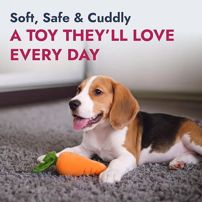 Pet Lou 8 Inch Carrot Plush Dog Toy for Soft Chewers – Durable Squeaky & Crinkle, Anti Boredom Chew Toy for Dogs, Cute Soft Stuffed Calming Indoor Pet Toy for All Dog Breeds