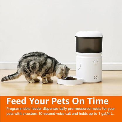 Amazon Basics Automatic Cat Feeder with Programmable Voice Recorder, Slow Feed, Portion Control, 4L Capacity, White