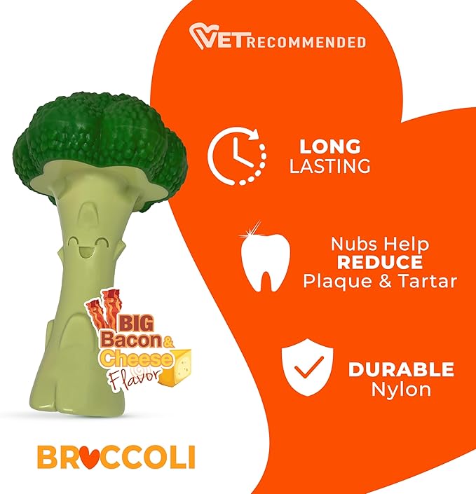 Nylabone Broccoli Power Chew Toy for Dogs, Dog Toys for Aggressive Chewers, Bacon & Cheese Flavor, Large Dogs - Up to 50 lbs, 1 Count
