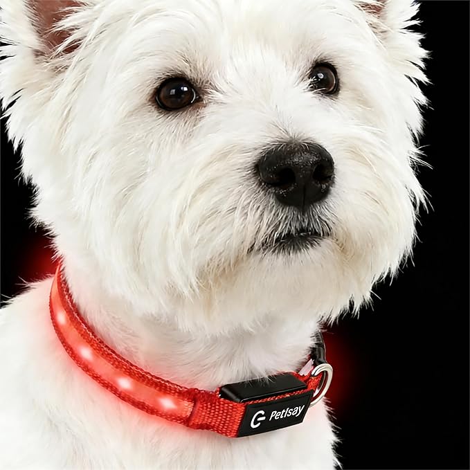 LED Dog Collar for Small Dogs & Toy Breeds – USB-C Rechargeable Light Up Dog Collar, Fully Waterproof Adjustable Glow Collar for Night Walking & Safety(Red,S)