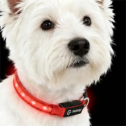 LED Dog Collar for Small Dogs & Toy Breeds – USB-C Rechargeable Light Up Dog Collar, Fully Waterproof Adjustable Glow Collar for Night Walking & Safety(Red,S)