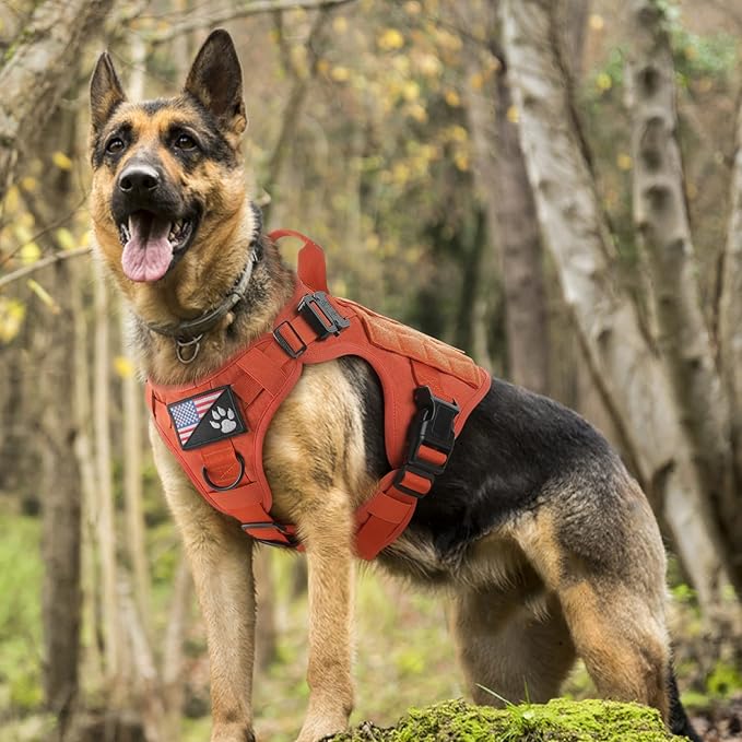 rabbitgoo Tactical Dog Harness for Large, Heavy Duty Pet Harness with Handle, No-Pull Service Vest Large Breed, Adjustable Military Dog Vest for Training Hunting Walking, Orange, L
