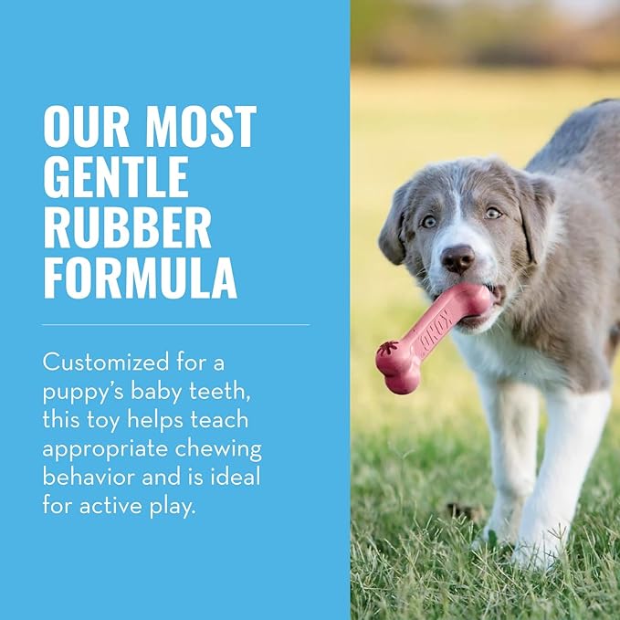 KONG Puppy Goodie Bone - Stuffable Natural Rubber Chew Toy for Small Dogs & Teething Puppies - Pink