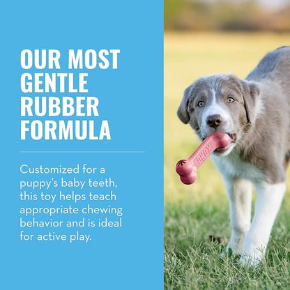 KONG Puppy Goodie Bone - Stuffable Natural Rubber Chew Toy for Small Dogs & Teething Puppies - Pink