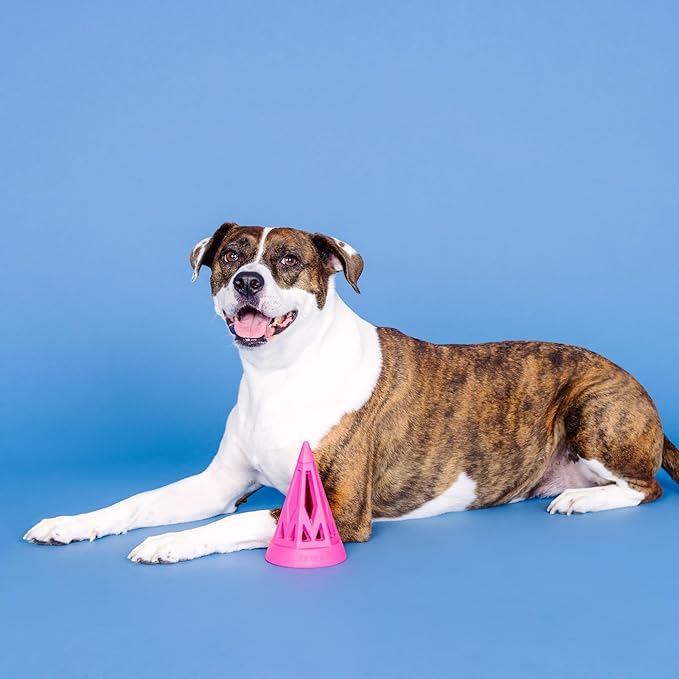 Fringe Studio You Cone DO IT! HOT Pink Rubber Dog Toy, Pet Shop Collection (518039)