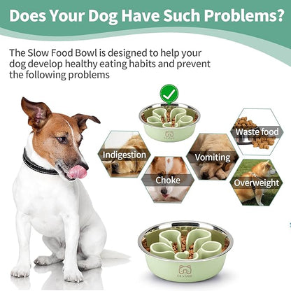 Stainless Steel Slow Feeder Dog Bowl, Bestalk 2-in-1 Metal Dog Bowls with Silicone Slow Feeder Insert for Small, Medium, Large Dogs(Green,1 Cup)