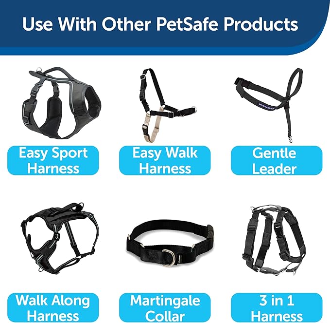 PetSafe Nylon Dog Leash – Strong, Durable, Traditional Style Leash with Easy to Use Bolt Snap for Small, Medium and Large Dogs – 1" x 6', Black