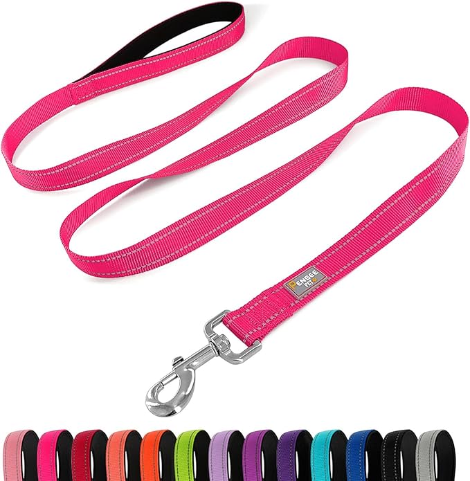 Dog Leash 6 FT Padded Handle Nylon Reflective Dogs Leashes for Medium Dogs Hot Pink