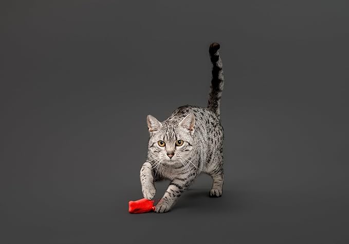 Playology Cat Toy Set | 5-Pack Feather Fish | Interactive Feather Toys for Cats | Stimulating Playtime Fun
