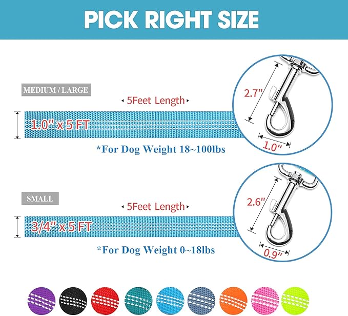 BAAPET Two Handle Dog Leash, Dual Soft Padded Handles with Traffic Control Handle Leash for Small Medium or Large Dogs (3/4'' x 5 FT, Blue)