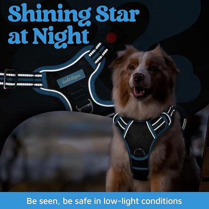 rabbitgoo Dog Harness for Large Dogs, No Pull Pet Vest with 3 Buckles, Adjustable Soft Padded Pet Harness with Easy Control Handle and Reflective Strips, Black & Sky Blue, XL