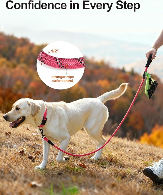Joytale Dog Leash for Large Dogs, Heavy Duty Nylon Leashes with Comfortable Padded Handle and Highly Reflective Threads, Ideal for Walking and Training, Pink, 5'×1/2''