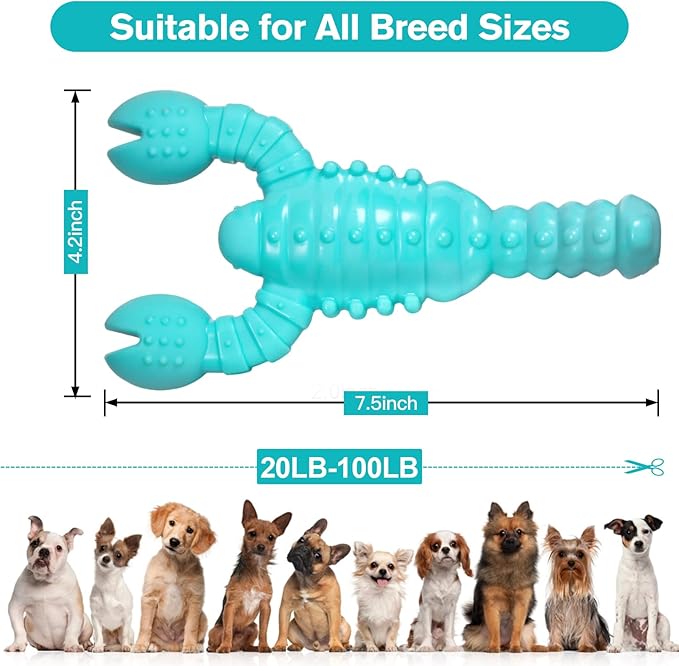 2 Pack Dog Toys for Aggressive Chewers, Indestructible Tough Dog Chew Toys for Medium Large Breeds, Bacon Flavor to Keep Them Busy