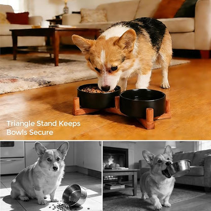 Ceramic Dog Bowl and Cat Bowls Set with 15° Adjustable Wood Stand, Non-Slip Weighted Pet Food and Water Bowls, Dual Raised Feeder for Small Dogs, Matte Glaze Pet Dish 13.5oz Set of 2 (Matte Black)