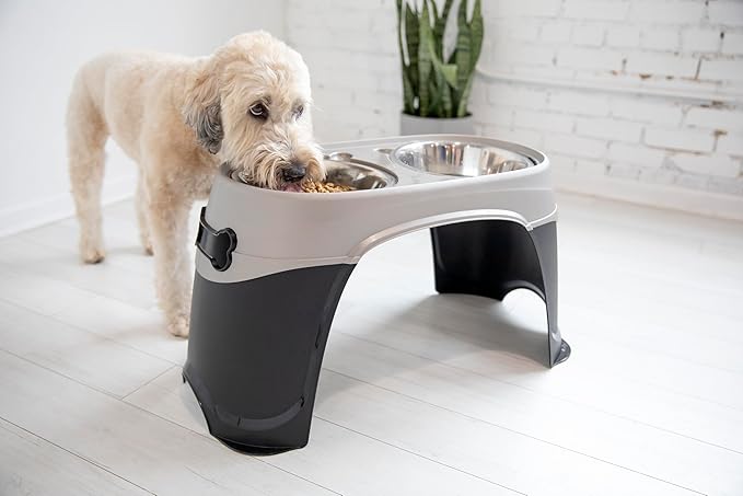 Petmate Easy Reach Pet Diner Elevated Dog Bowls 2 Sizes 2 Polished Colors, Black/Pearl Tan, Large (23479), Made in USA