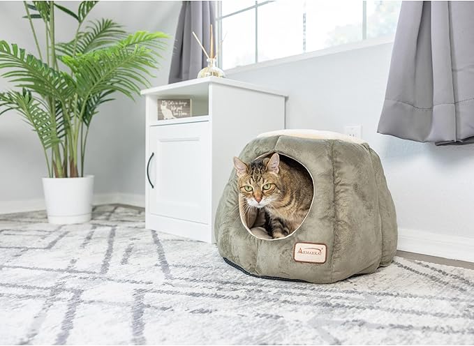 Armarkat Cat Bed, Laurel Green and Beige