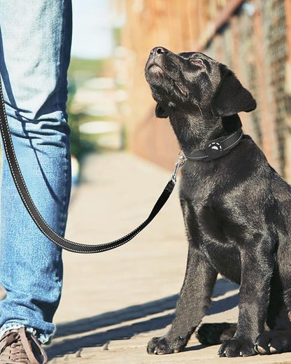 Reflective Dog Leash 4ft Soft Padded Handle Nylon Lead for Small & Medium Dogs, Durable Walking Training Leash for Night Safety (Black,3/4Inch Wide)