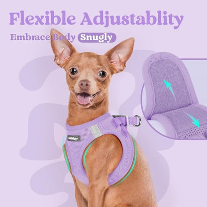 rabbitgoo Small Dog Harness, Step-in Soft Mesh Puppy Vest with Safety Buckle, Breathable Reflective Pet Harness for Small Sized Dogs, Light Purple M