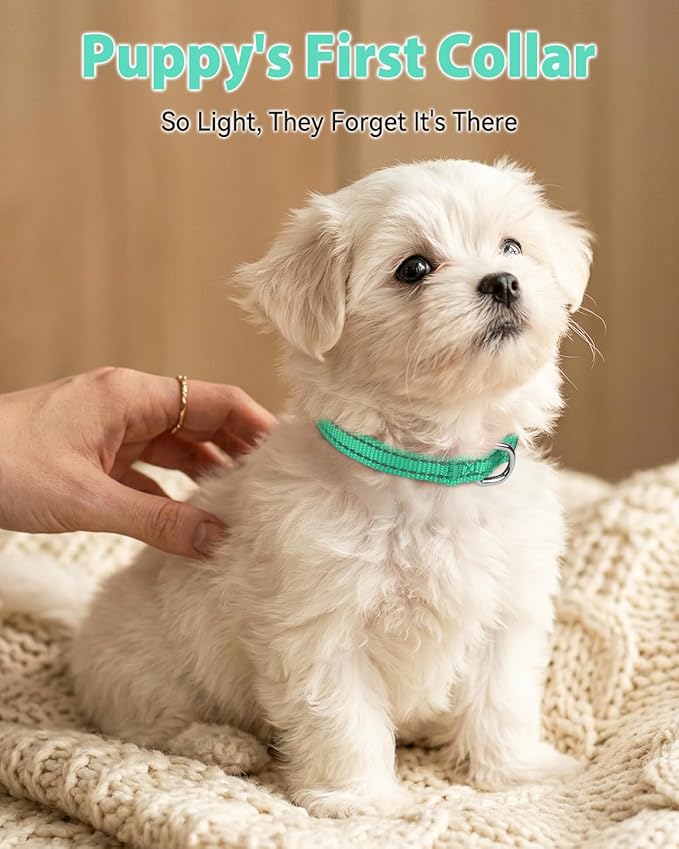 Joytale Puppy Collar, Feather-Light Double-Sided Reflective Nylon Collar for Night Safety, Adjustable Quick-Release for Extra Small Dogs, Teal, XS (3/8" Width)