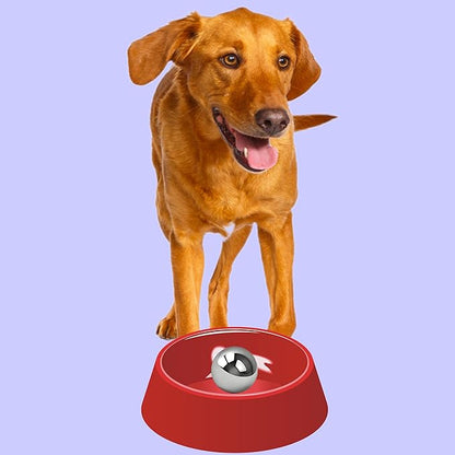 SUS304 Stainless Steel Dog Food Slow Feeder Ball - 3.6in - Slows Fast Eating, Prevents Choking, Bloating & Obesity - Fun Feeding for All Dogs - Durable, Smooth & High Adaptability (Large 3.6Inch)