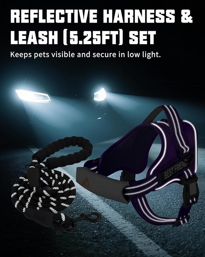 AUROTH Dog Harness and Leash Set, Soft Padded Service Dog Vest with 5.25FT Dog Leash, No Choke, Easy On Pet Vest, Adjustable Reflective No Pull Dog Harness Small Sized Dog, Easy Walking and Training