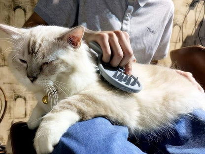 Cat Brush Shedding Grooming, Soft Massage Kitty Tongue Brush, Licking Your Kitty Like a Mama Cat to Comfort, Surprise Pet Gifts