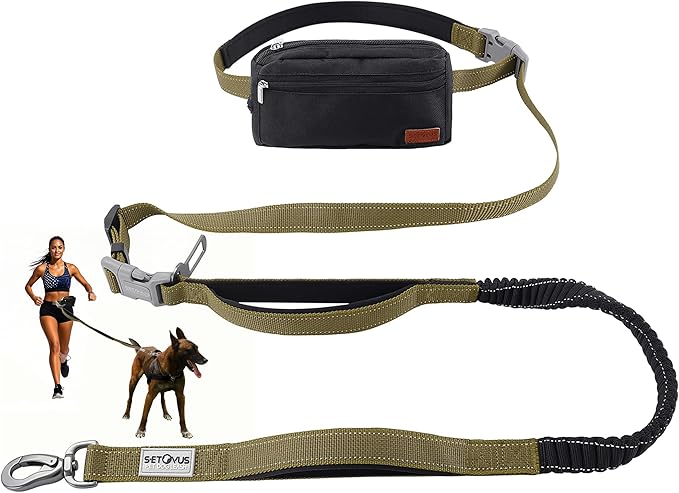 Hands Free Dog Leash with Zipper Pouch, Double Handle Running Reflective Bungee Waist Leash for Dog Walking, Training and Hiking for Small Medium Large Dogs (Yellow)