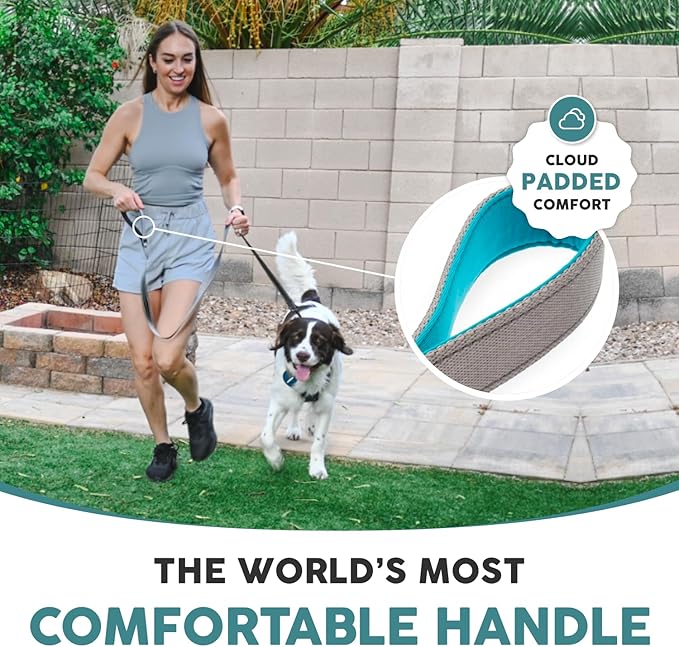 Embark Adventure Dog Leash – Strong & Durable, Colorful, 5 Ft, Suitable for Small, Medium & Large Dogs, Blue