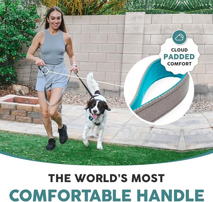 Embark Adventure Dog Leash – Strong & Durable, Colorful, 5 Ft, Suitable for Small, Medium & Large Dogs, Blue