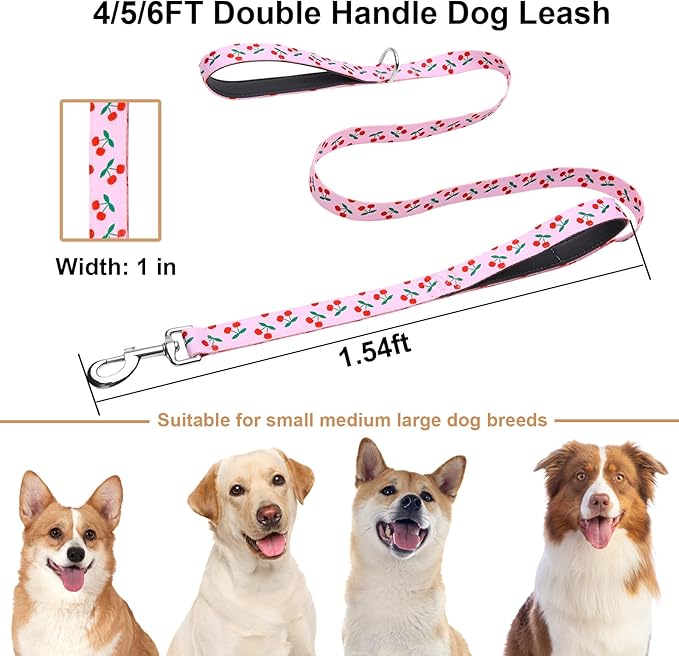 4ft Dog Leash with Two Padded Handles, Heavy Duty Strong Nylon Pet Leash with Soft Neoprene Handle for Small Medium Large Dogs, Cherry