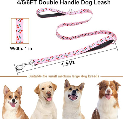 4ft Dog Leash with Two Padded Handles, Heavy Duty Strong Nylon Pet Leash with Soft Neoprene Handle for Small Medium Large Dogs, Cherry