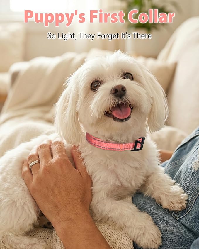 Joytale Small Dog Collar, Durable Double-Sided Reflective Nylon Collar for Night Safety, Adjustable Quick-Release for Active Breeds, Pink, S (3/4" Width)