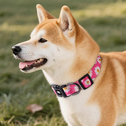 QQPETS Adjustable Soft Dog Collar: Print Flower Pink Multicolor Cute Patterns for XS Small Medium Large Pet Girl Boy Puppy Walking Running Training (S, Small Daisies)