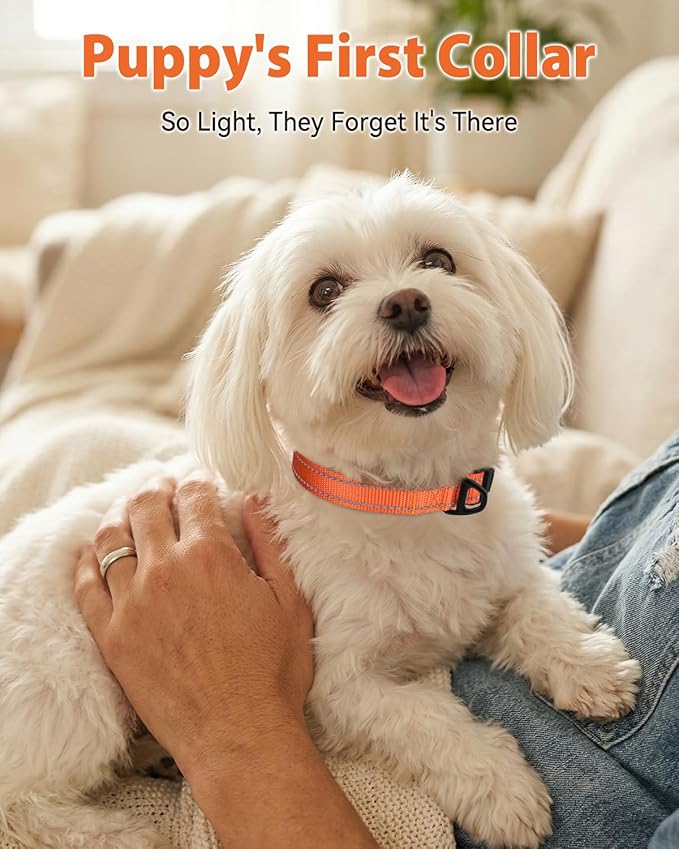 Joytale Small Dog Collar, Durable Double-Sided Reflective Nylon Collar for Night Safety, Adjustable Quick-Release for Active Breeds, Orange, S (3/4" Width)