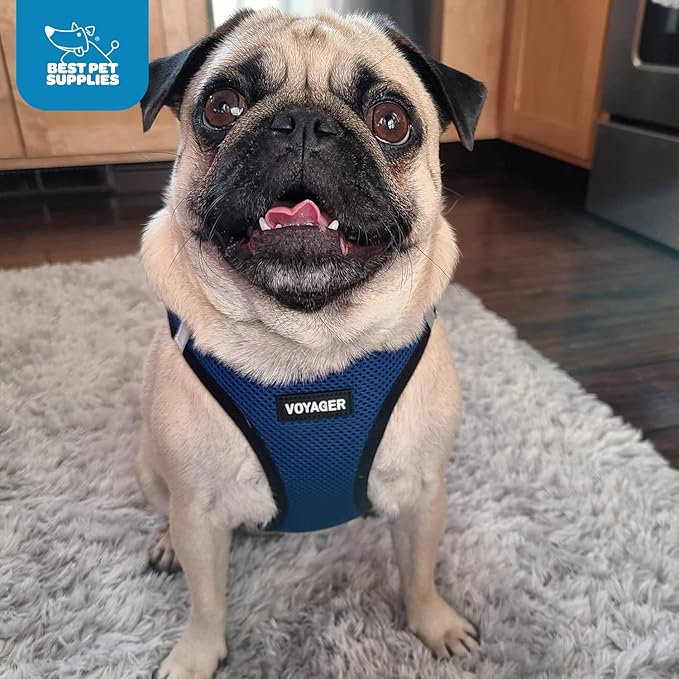 Best Pet Supplies - All Weather Mesh / Plush, Reflective, No Pull Harness for Small, Medium Dogs, Cats - Secure with Hook & Loop Fastener, Buckle, Double D-Rings - Blue/Black Trim, S