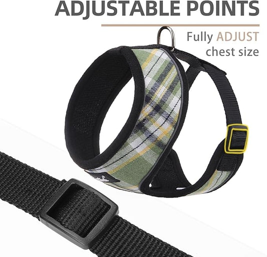 PUPTECK Soft Mesh Dog Harness and Leash Set Pet Puppy Cat Comfort Padded Vest No Pull Harnesses, Green/Yellow, L