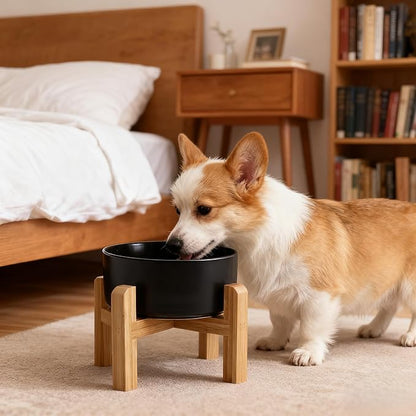 Elevated/Raised Ceramic Dog Bowl with Bamboo Stand，6 Inch 3.6 Cups Non Slip Heavy Weighted Single Pet Dish, for Small Medium Breed & Cats,Reduces Neck Strain Black