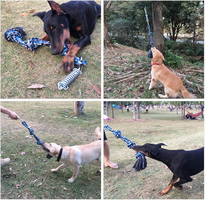 SIXRUN Spring Pole Dog Rope Toy, Rust Proof Steel, Muscle Building, Outdoor Tug of War Exercise, 38.97 Inch, for Large Dogs