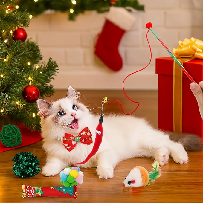 Mity rain Cat Advent Calendar 2025 with 24 Days of Surprises, Christmas Cat Toys with Cat Bowies, Bells, Mice, Catnip, Feather Toys, Xmas Fun Gifts for Cats Lovers