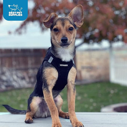 Best Pet Supplies - All Weather Mesh / Plush, Reflective, No Pull Harness for Small, Medium Dogs, Cats - Secure with Hook & Loop Fastener, Buckle, Double D-Rings - Black/Black Trim, L
