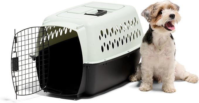 Petmate Pet Porter Fashion Dog Kennel Plastic Crate for Pets 15-20 lbs, Pet Carrier For Home and Travel, Made in USA, 24" L x 14.5" H, Pale Aqua and Black