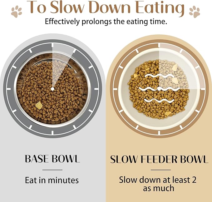 BNOSDM Slow Feeder Dog Cat Bowls, Stainless Steel with Silicone Mat Dog Food and Water Bowls Set, Pet Feeder to Slow Down Eating for Cats, Small Dog