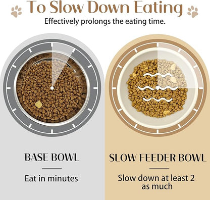 BNOSDM Slow Feeder Dog Cat Bowls, Stainless Steel with Silicone Mat Dog Food and Water Bowls Set, Pet Feeder to Slow Down Eating for Cats, Small Dog