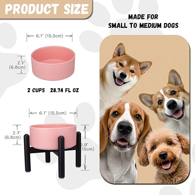 Raised Ceramic Dog Bowl - Elevated Food Water Dish with Stainless Steel Stand - for Small to Medium Dogs - 6 Inch - 2 Cups (28.75 fl oz) - Pink