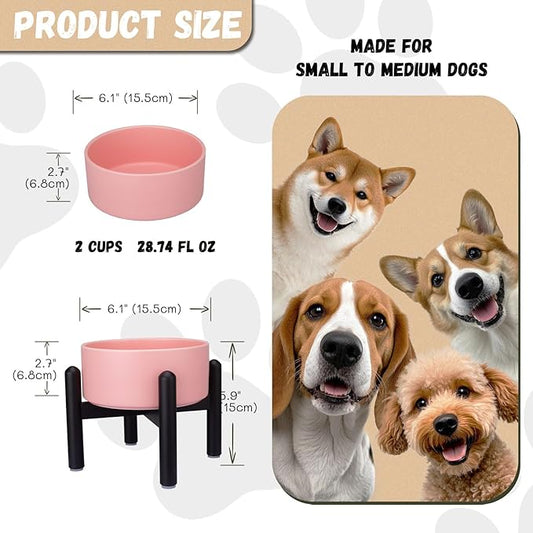 Raised Ceramic Dog Bowl - Elevated Food Water Dish with Stainless Steel Stand - for Small to Medium Dogs - 6 Inch - 2 Cups (28.75 fl oz) - Pink