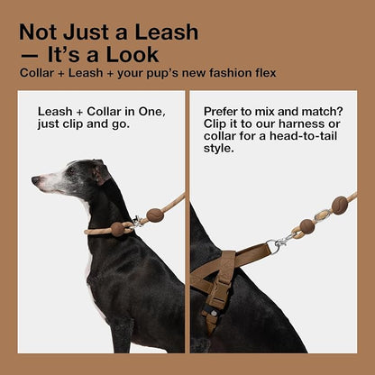 VETRESKA Hands-Free Dog Leash, 8FT Adjustable Rope Leash for Medium Large Dogs, Waist/Crossbody Slip Lead Leashes for Walking, No Pull Dog Leashes with Bag Dispenser, Clip, 3 in 1 Walk Kit (Coffee)