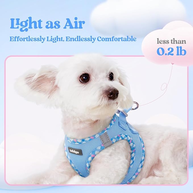 rabbitgoo Dog Harness Small Sized and Leash Set, Step in Soft Light Puppy Vest, Breathable Mesh Pet Harness, Reflective for Safe Easy Walking, Blue & Plaid Trim M