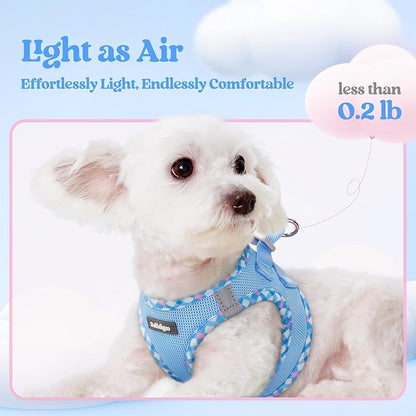 rabbitgoo Dog Harness Small Sized and Leash Set, Step in Soft Light Puppy Vest, Breathable Mesh Pet Harness, Reflective for Safe Easy Walking, Blue & Plaid Trim S